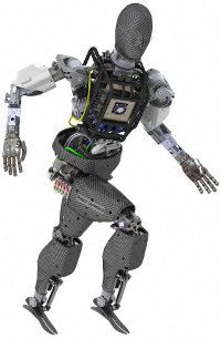 «Роботы: Без права на ошибку» kiwi byrd